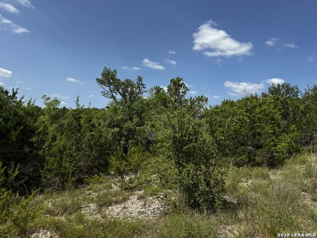 LOT 9 HILLSIDE DRIVE Spring Branch, TX 78070