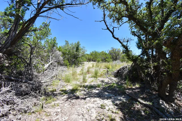 296 TIMBERCREEK RD Pipe Creek, TX 78063