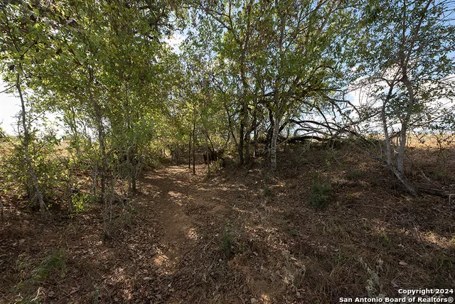 2991 Cr 442 Stockdale, TX 78160