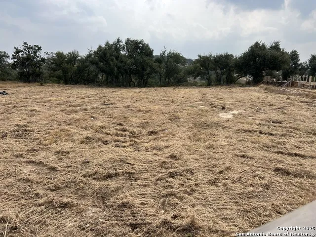 667 Butler Oaks Bulverde, TX 78163