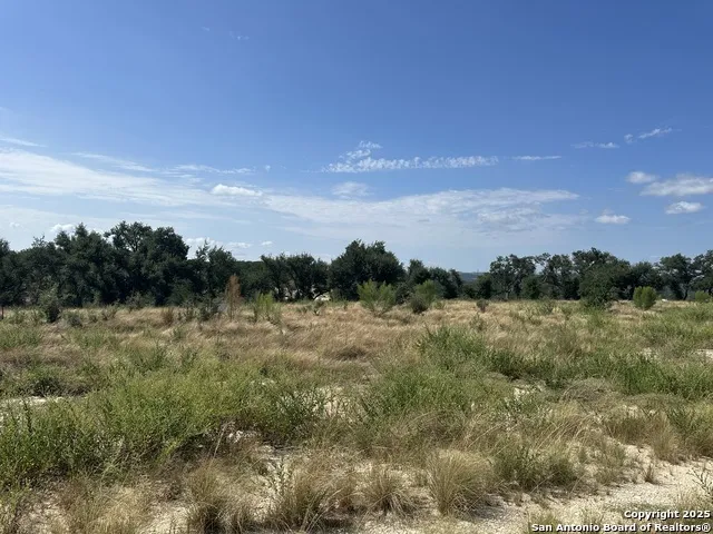 667 Butler Oaks Bulverde, TX 78163