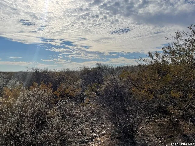 1292 Venado Grande Eagle Pass, TX 78852