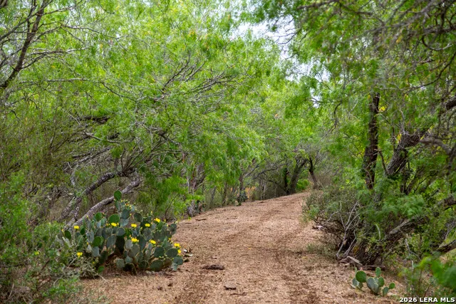 1277 County Road 138 Floresville, TX 78114