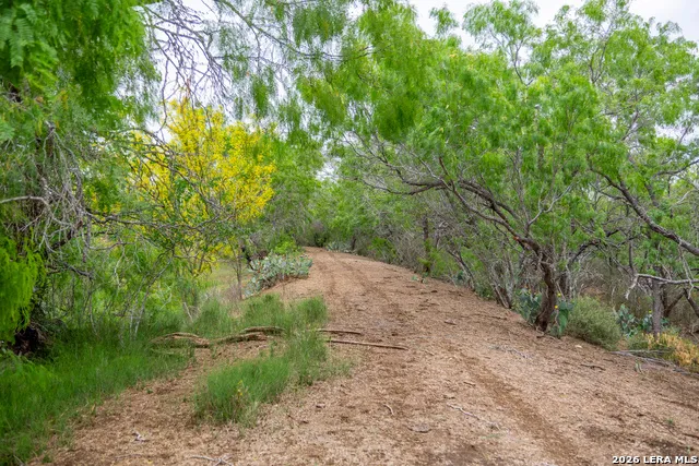 1277 County Road 138 Floresville, TX 78114
