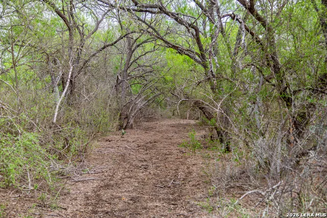 1277 County Road 138 Floresville, TX 78114