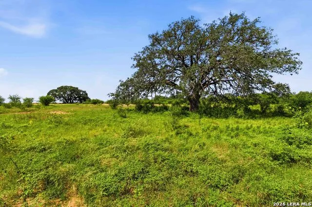2194 S Ranch Rd 187 Sabinal, TX 78881