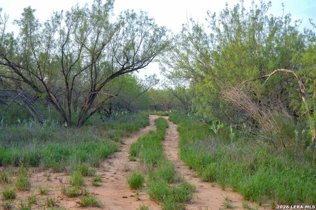2923 FM 186 Carrizo Springs, TX 78834