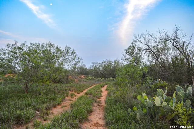 2923 FM 186 Carrizo Springs, TX 78834