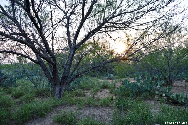 2923 FM 186 Carrizo Springs, TX 78834