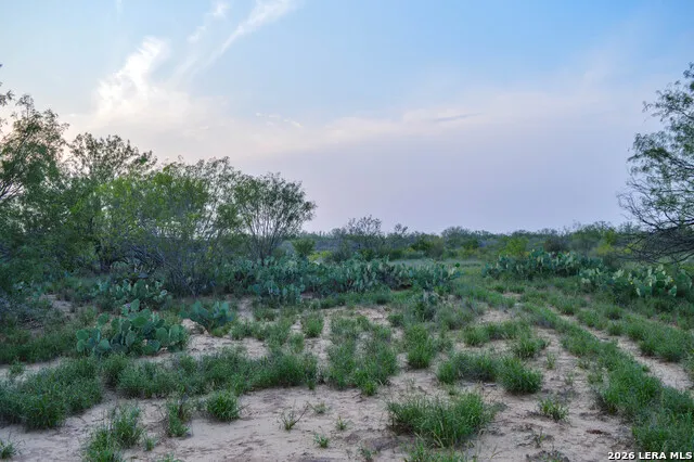 2923 FM 186 Carrizo Springs, TX 78834