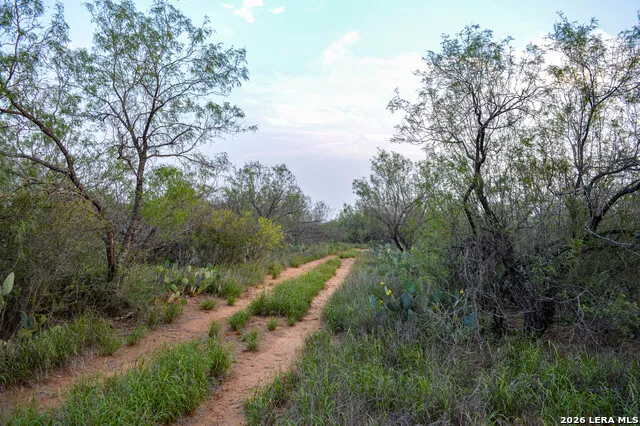 2923 FM 186 Carrizo Springs, TX 78834