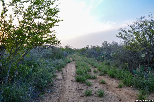 2923 FM 186 Carrizo Springs, TX 78834