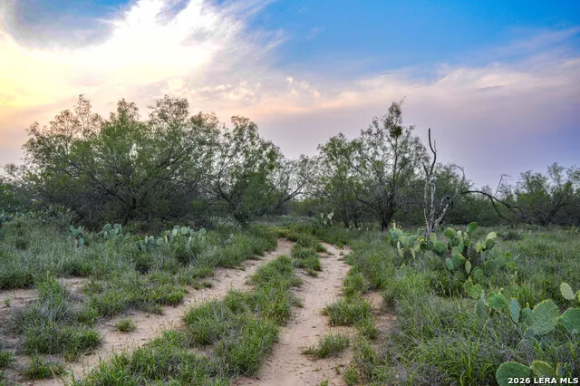2923 FM 186 Carrizo Springs, TX 78834