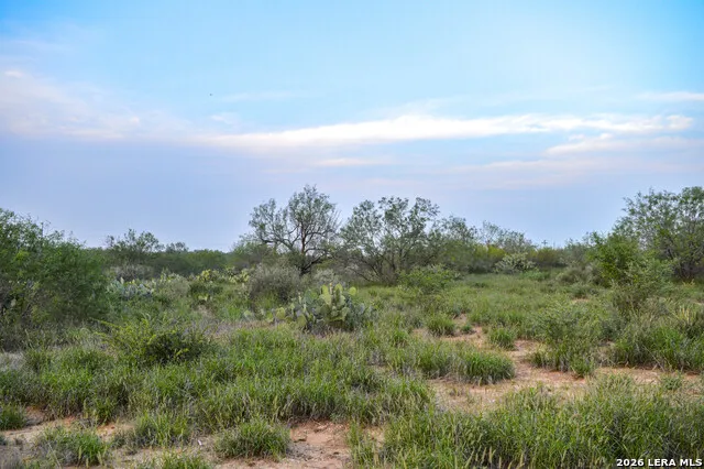 2923 FM 186 Carrizo Springs, TX 78834
