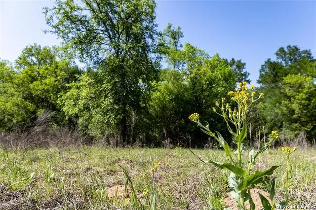 2990 FM 467 Seguin, TX 78155
