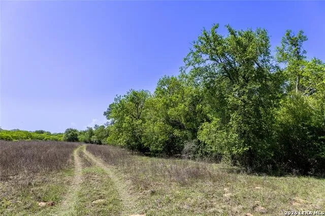 2990 FM 467 Seguin, TX 78155