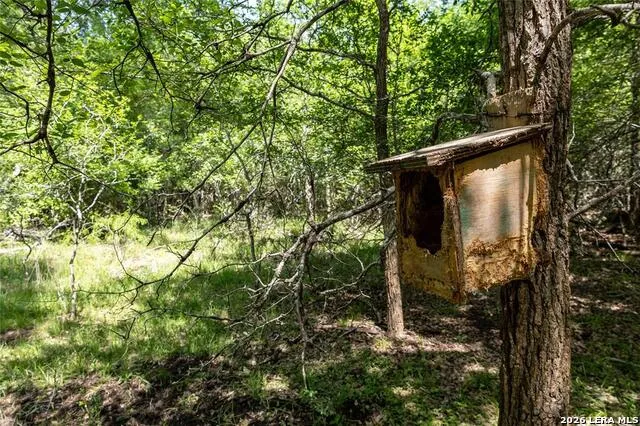 2990 FM 467 Seguin, TX 78155