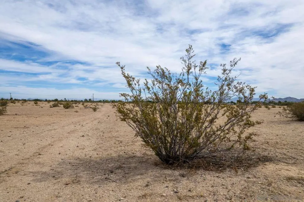 Perch AVE Ridgecrest, CA 93555
