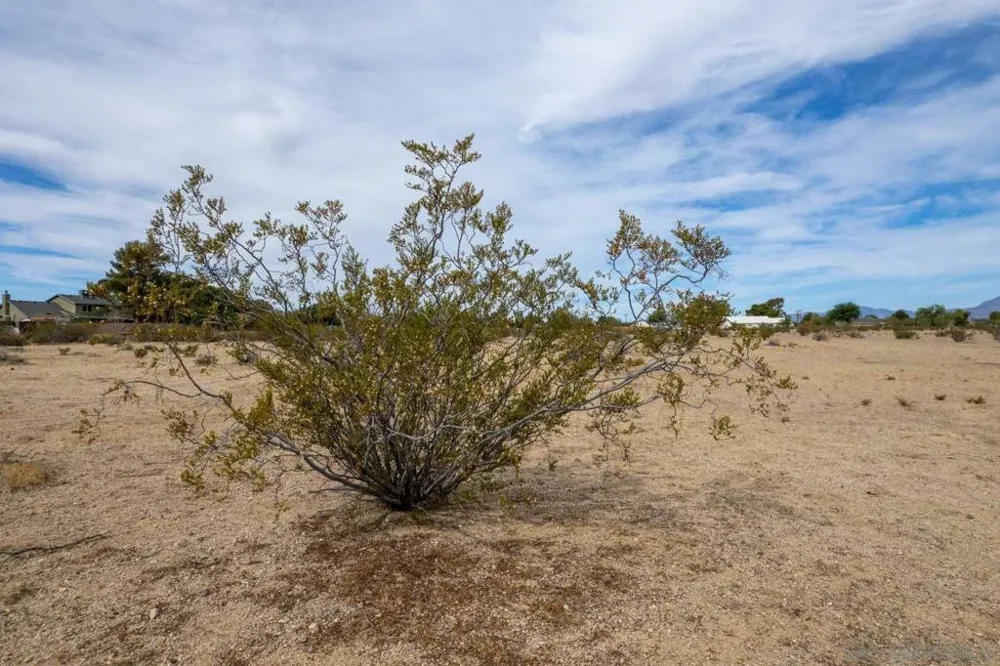 Perch AVE Ridgecrest, CA 93555