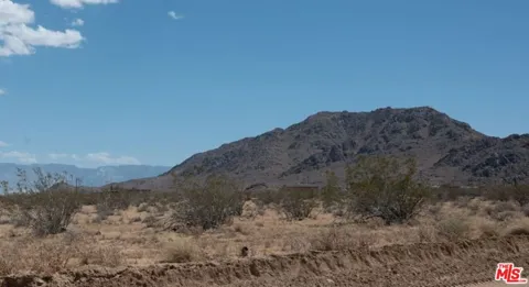 1 Desert Flower