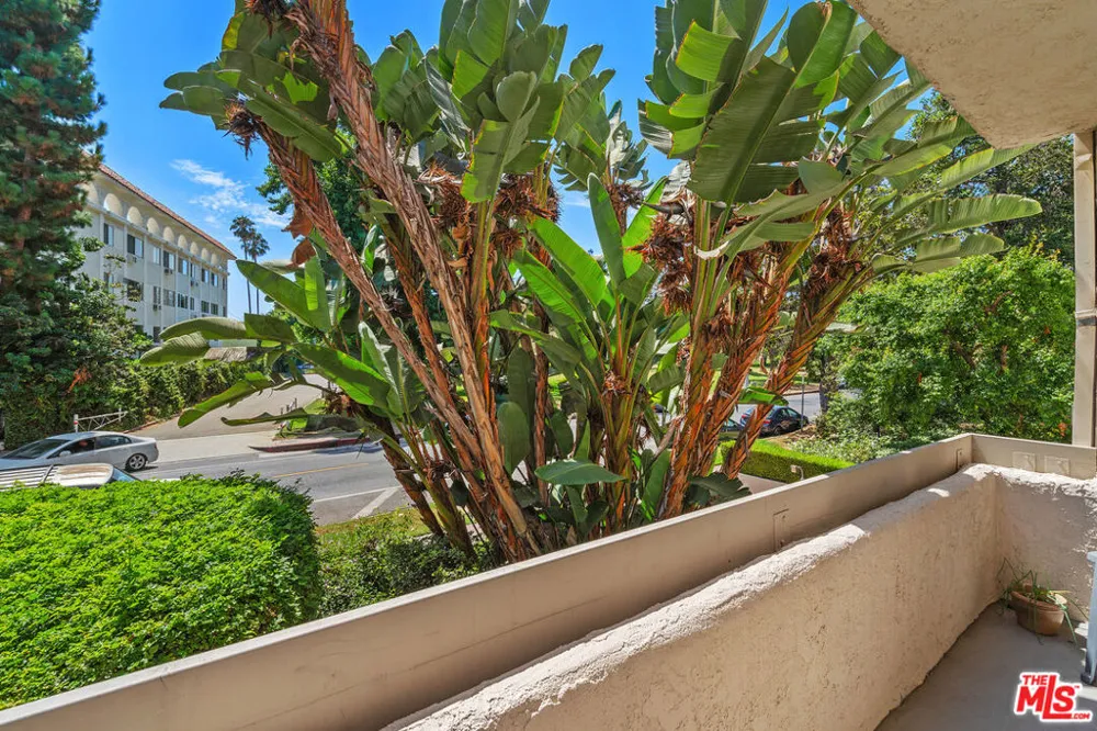 1440 VETERAN AVENUE #217 Los Angeles, CA 90024
