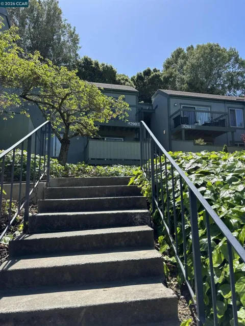 5290 San Pablo Dam Rd #19