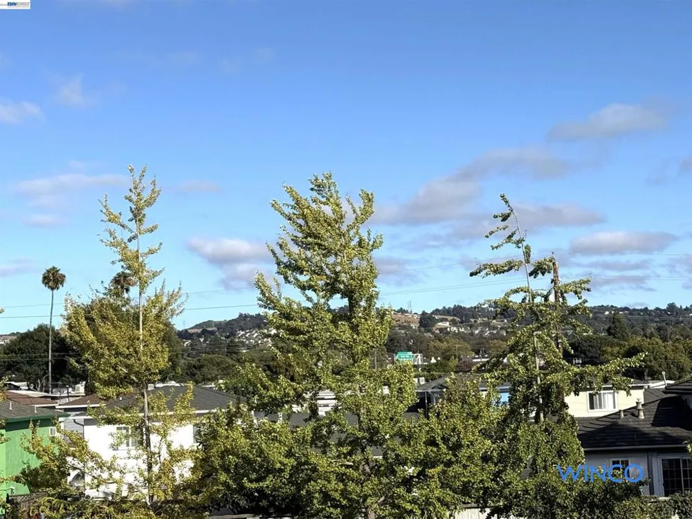 3810 Norbridge Ave Castro Valley, CA 94546
