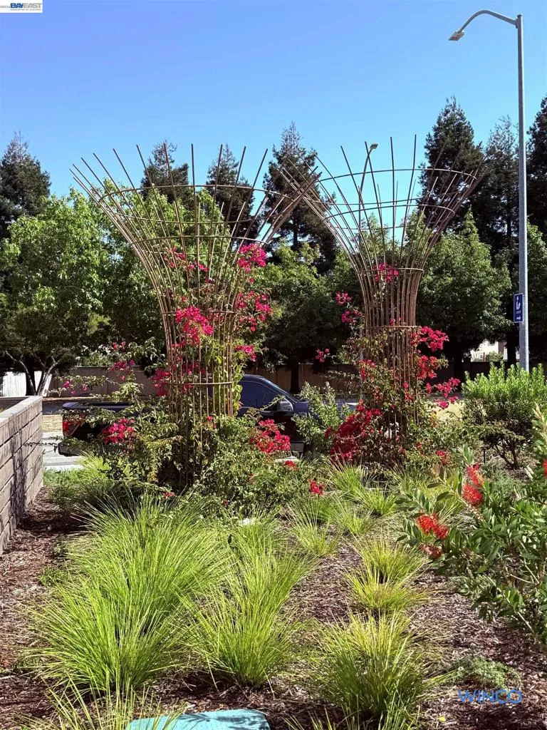 3810 Norbridge Ave Castro Valley, CA 94546