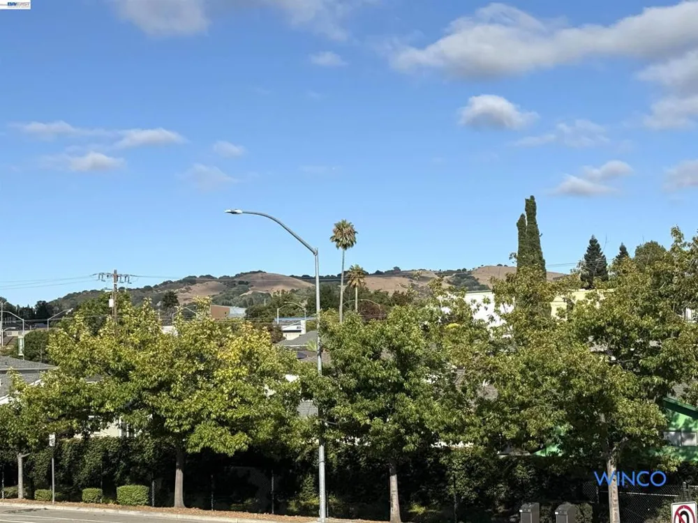 3810 Norbridge Ave Castro Valley, CA 94546