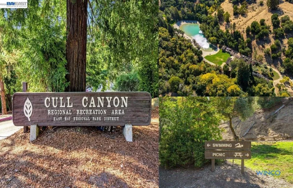 3810 Norbridge Ave Castro Valley, CA 94546