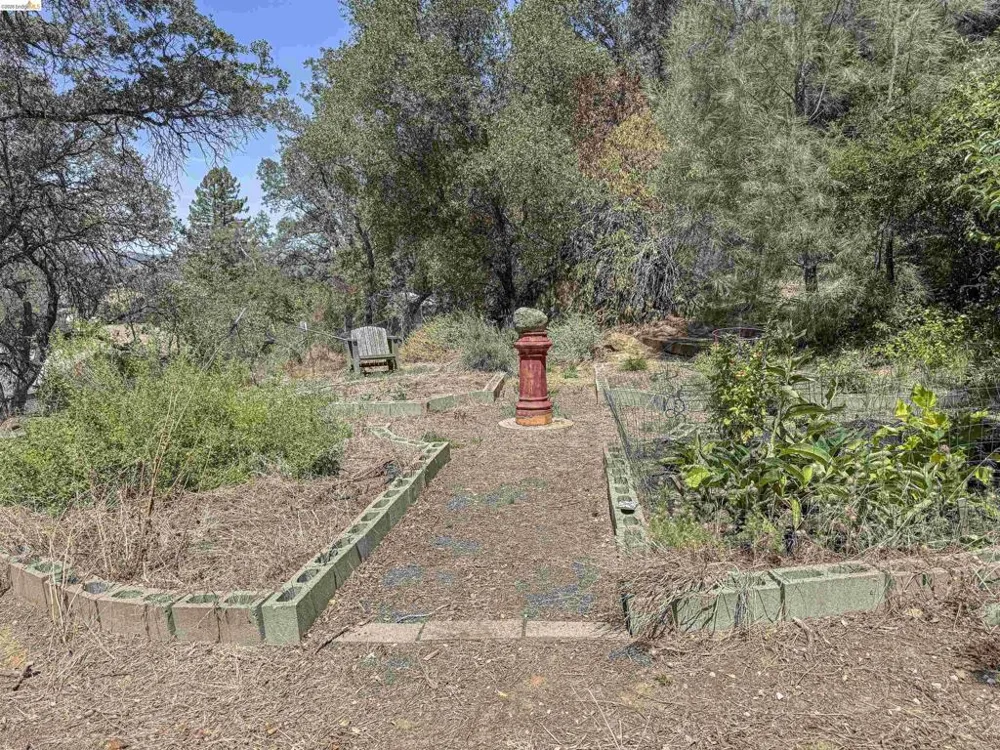 514 Oak St San Andreas, CA 95249