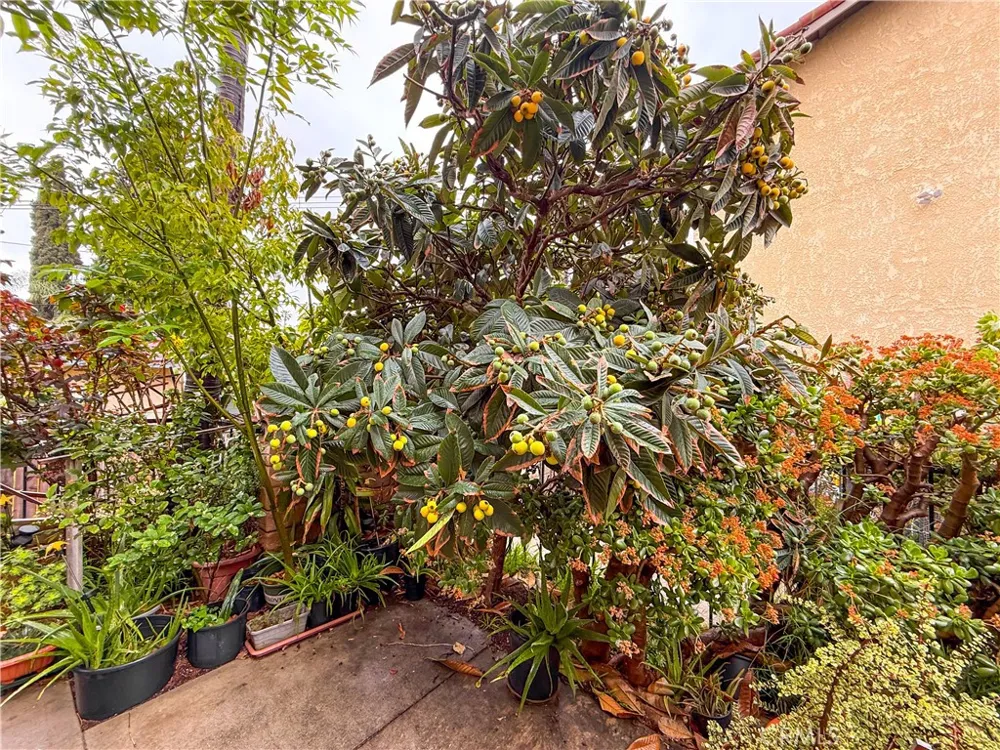 825 E Newmark Avenue #A Monterey Park, CA 91755