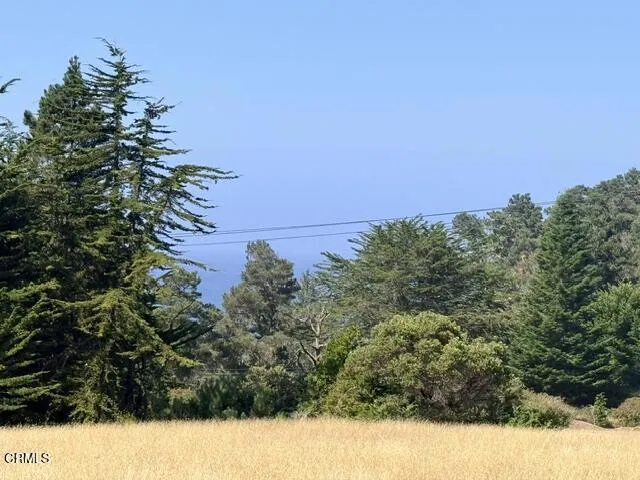 44861 Baywood Drive Mendocino, CA 95460