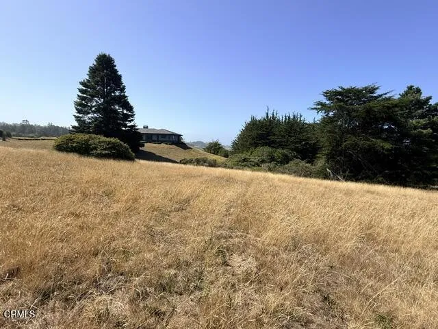 44861 Baywood Drive Mendocino, CA 95460