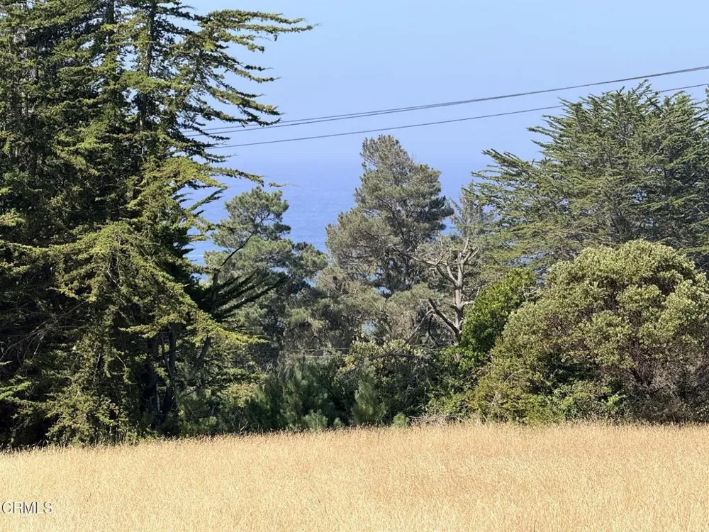 44861 Baywood Drive Mendocino, CA 95460