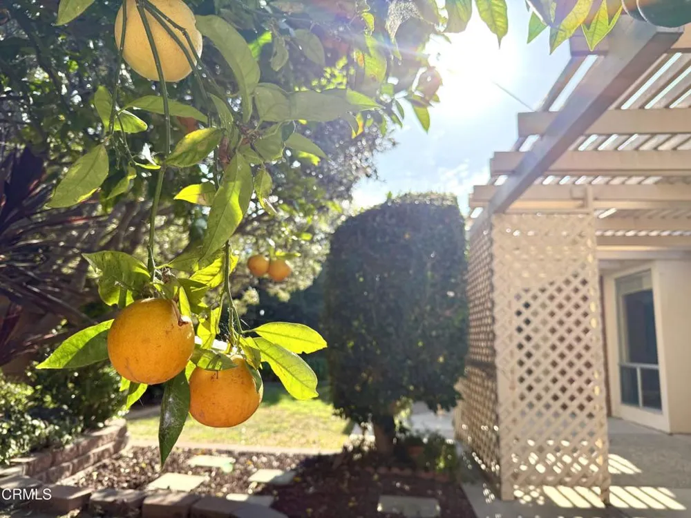 5392 Queens Street Ventura, CA 93003