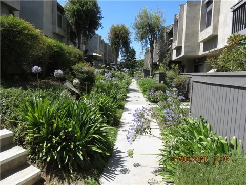 203 Ridge Terrace