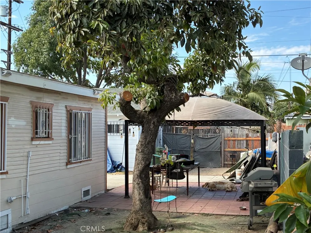 1161 W 67 street Los Angeles, CA 90044