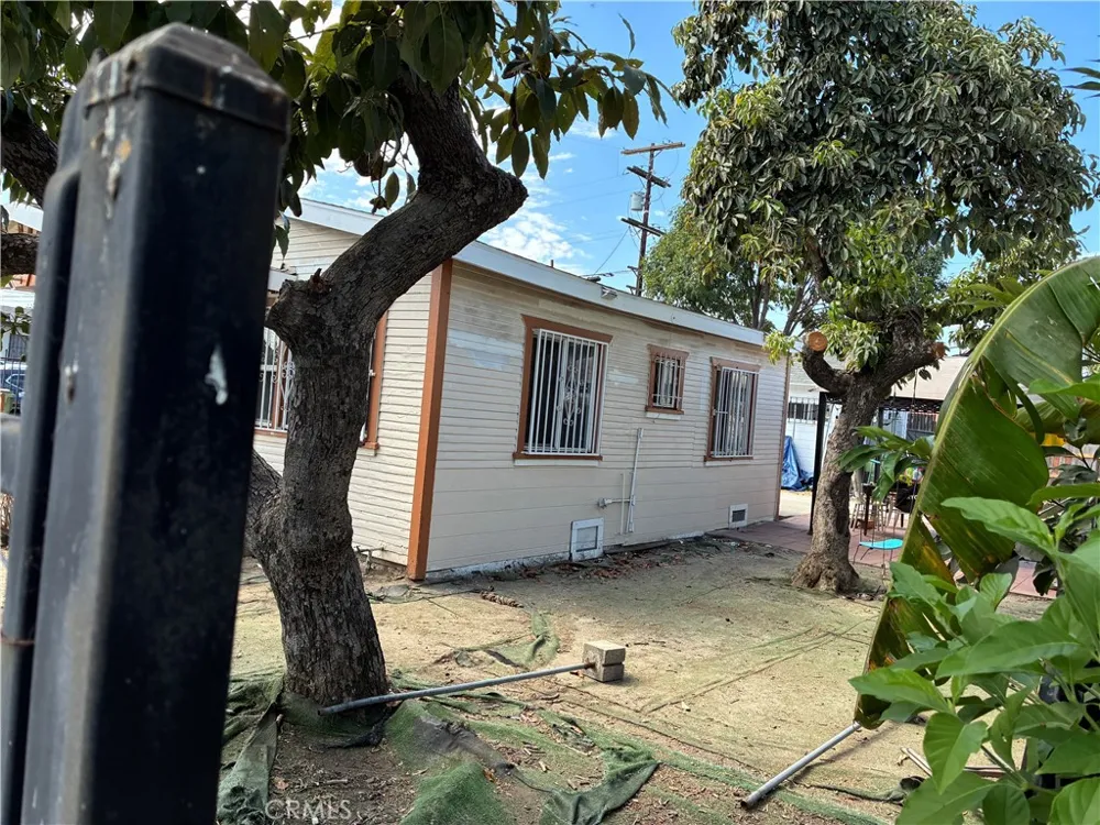 1161 W 67 street Los Angeles, CA 90044