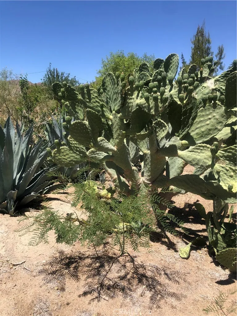 32726 Agate Road Lucerne Valley, CA 92356