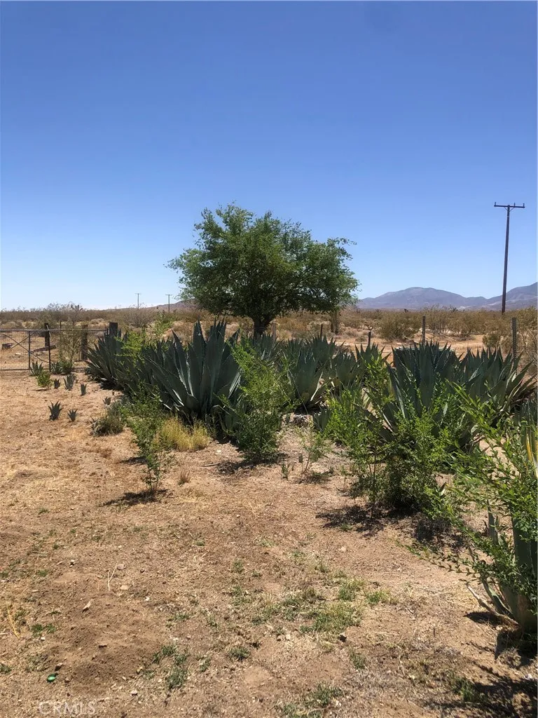 32726 Agate Road Lucerne Valley, CA 92356