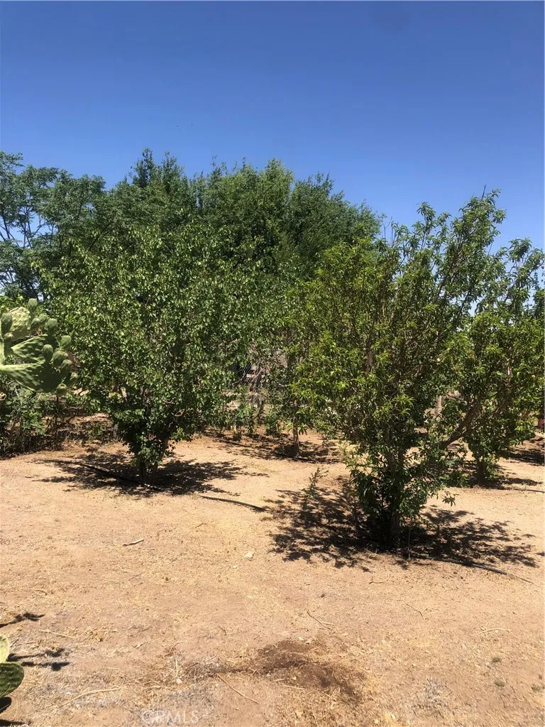 32726 Agate Road Lucerne Valley, CA 92356