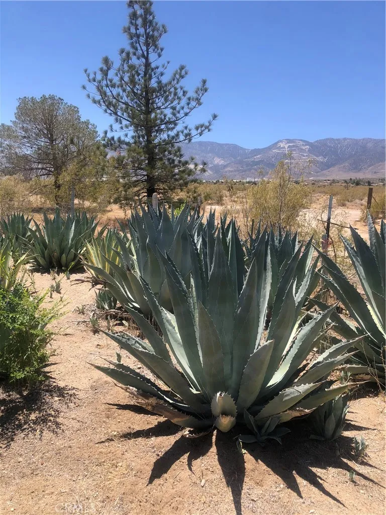 32726 Agate Road Lucerne Valley, CA 92356