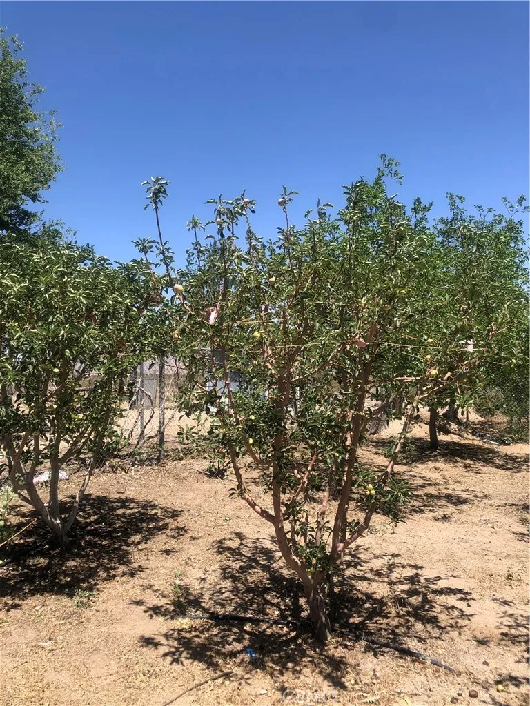 32726 Agate Road Lucerne Valley, CA 92356