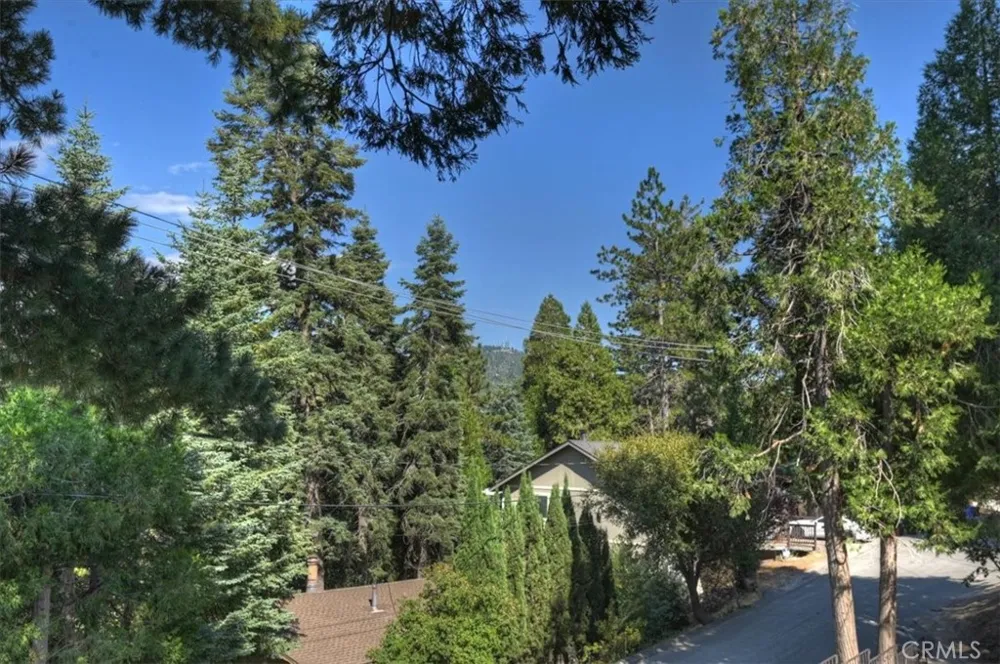 1050 Jungfrau Crestline, CA 92325