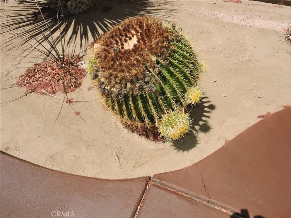 57934 Juarez Yucca Valley, CA 92284