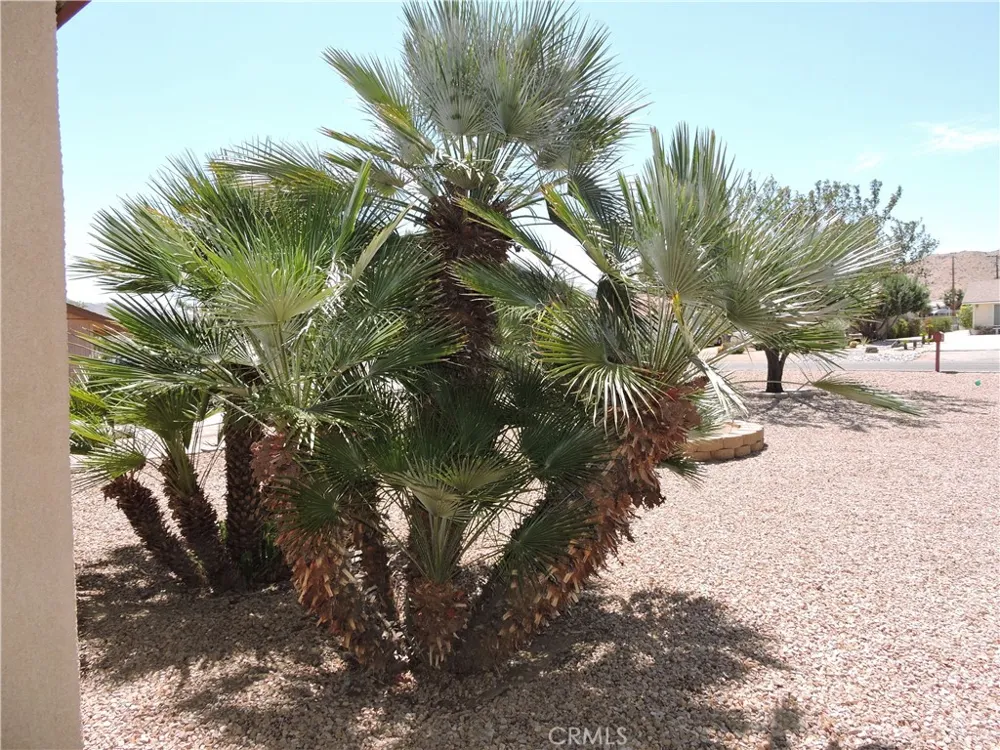57934 Juarez Yucca Valley, CA 92284