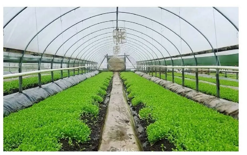 17288 Mcallister Parkway Riverside, CA 92503