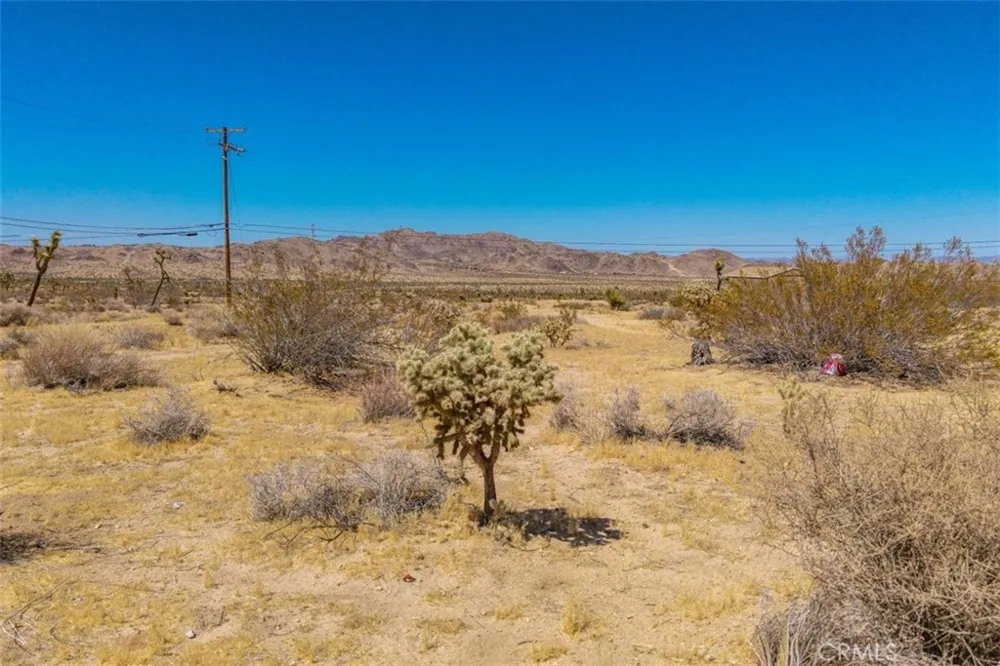 60366 Granada Drive Joshua Tree, CA 92252