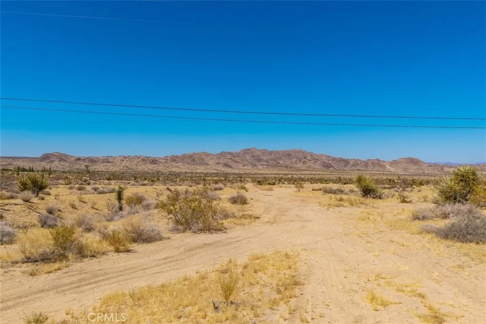 60366 Granada Drive Joshua Tree, CA 92252